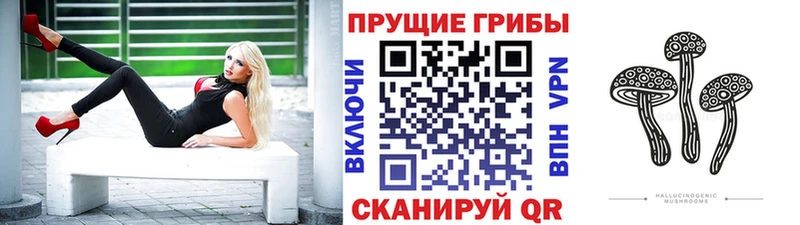 blacksprut зеркало  Волжский  Псилоцибиновые грибы ЛСД  где продают наркотики 